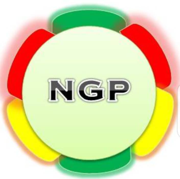 NGP SERVICES